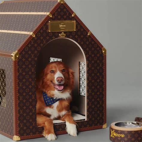 nova vitrine louis vuitton com cachorros|Pet Accessories .